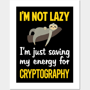 Funny Lazy Cryptography Posters and Art